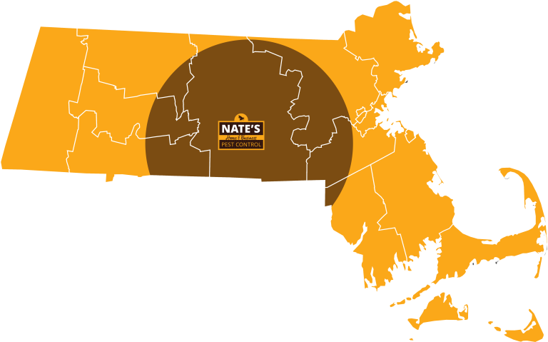 Nate's Pest Massachusetts Pest ControL Service Area