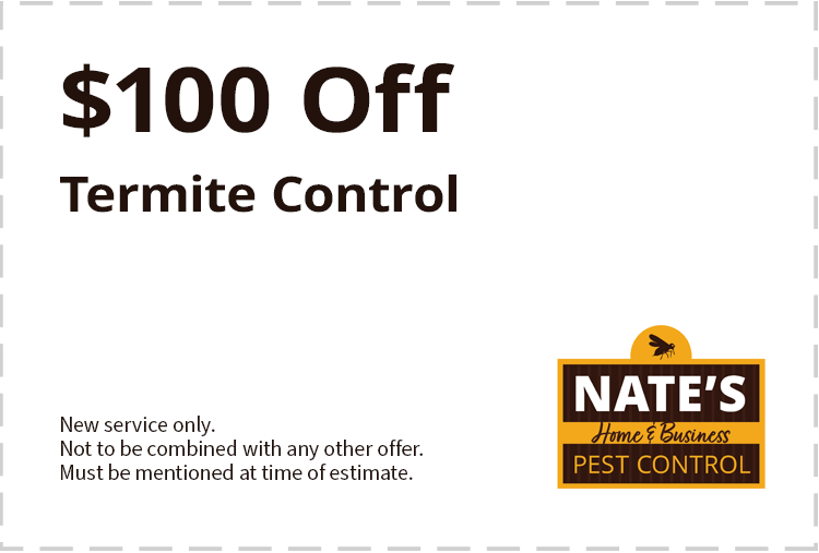 $100 off termite control service