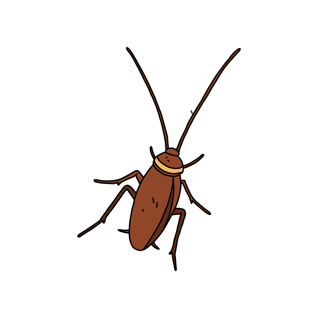 cockroach-pest-control-illustration